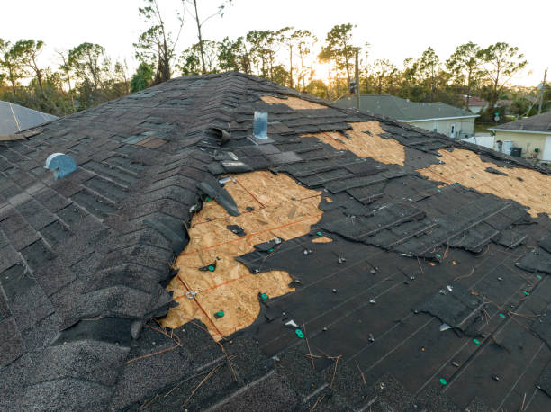 Best Asphalt Shingle Roofing  in Kenneth City, FL